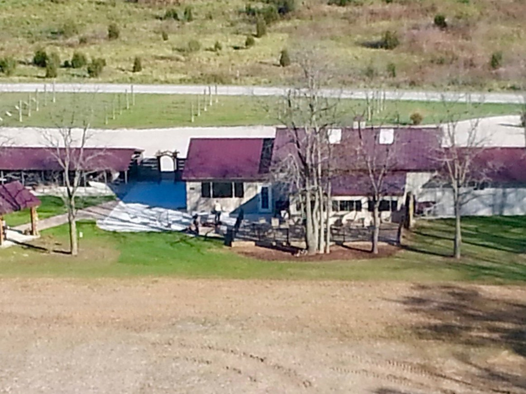 Leisure Time Winery-Napoleon必去景点