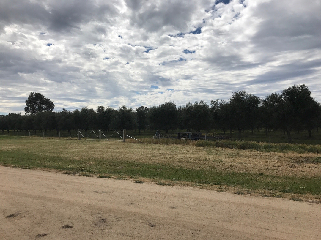 Serpentine旅游景点-Salute Olivia