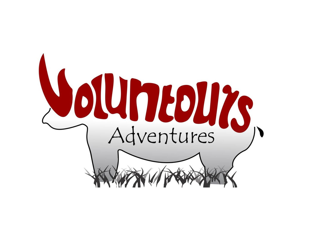 Voluntours Adventures景点图片