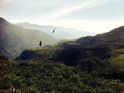 Dargui Tours-利马必去景点