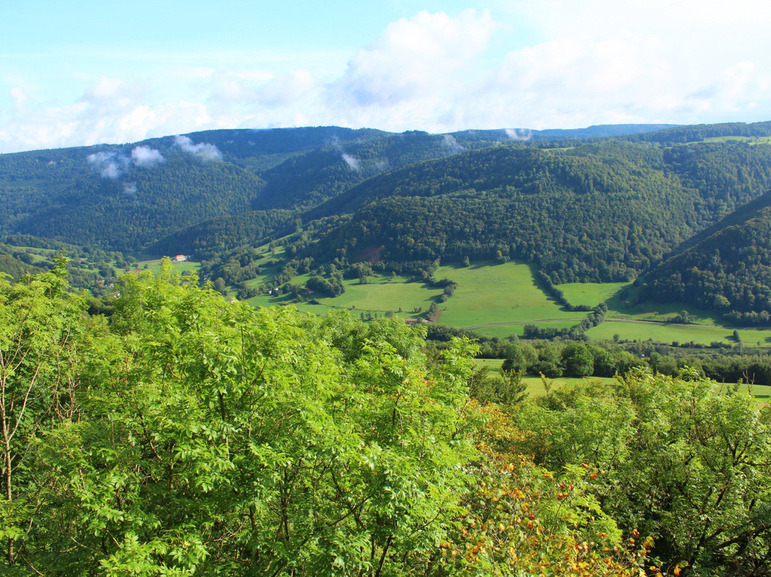 Observation Tour Faux d’Enson
