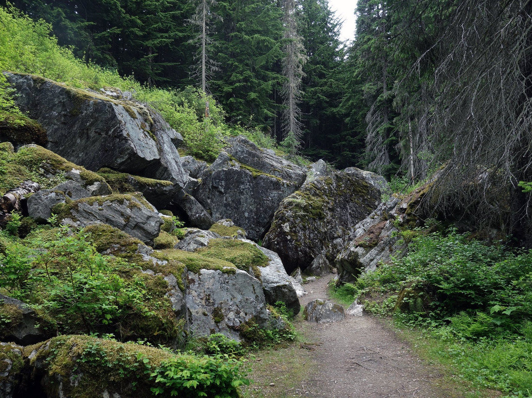 Rock Garden Trail景点图片