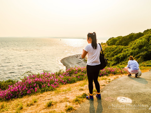 Nature Photo Hikes-温哥华必去景点