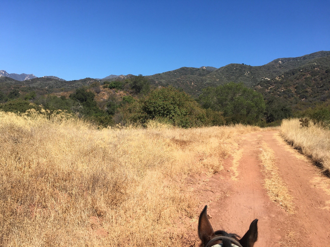 Ojai Valley Trail Riding Company-奥海必去景点