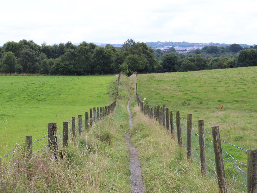 Witton Country Park景点图片