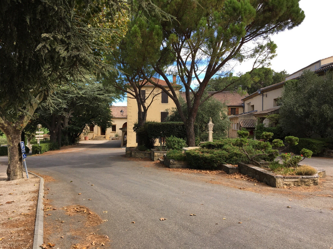 Nature Bike Provence景点图片