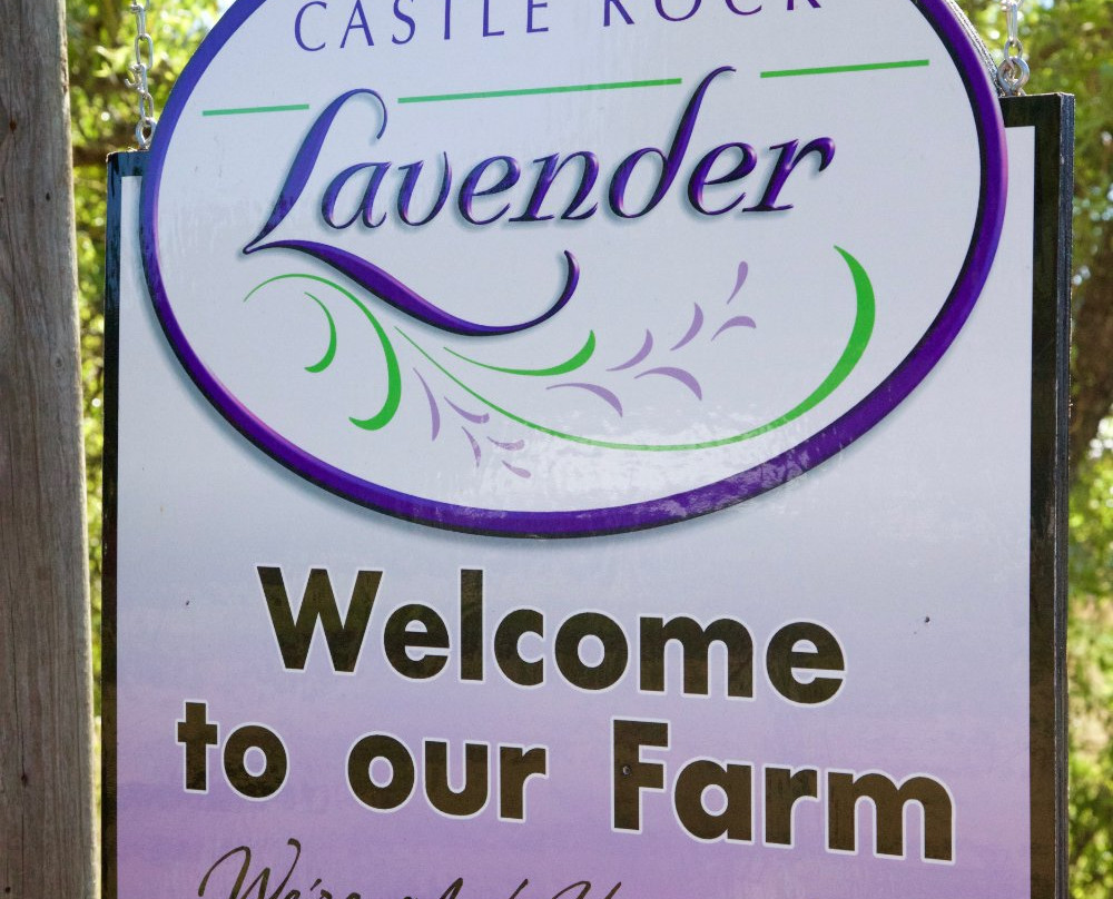 Castle Rock Lavender景点图片
