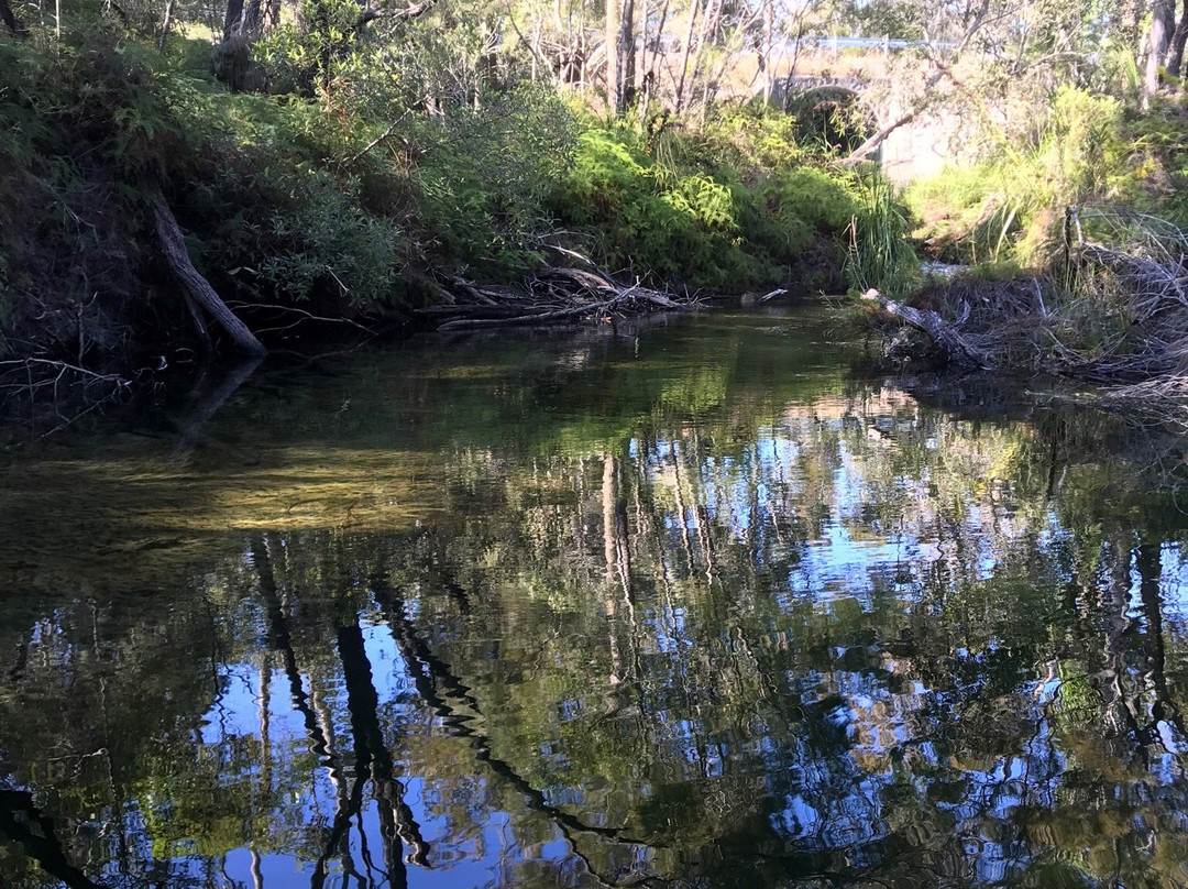 Searys Creek景点图片
