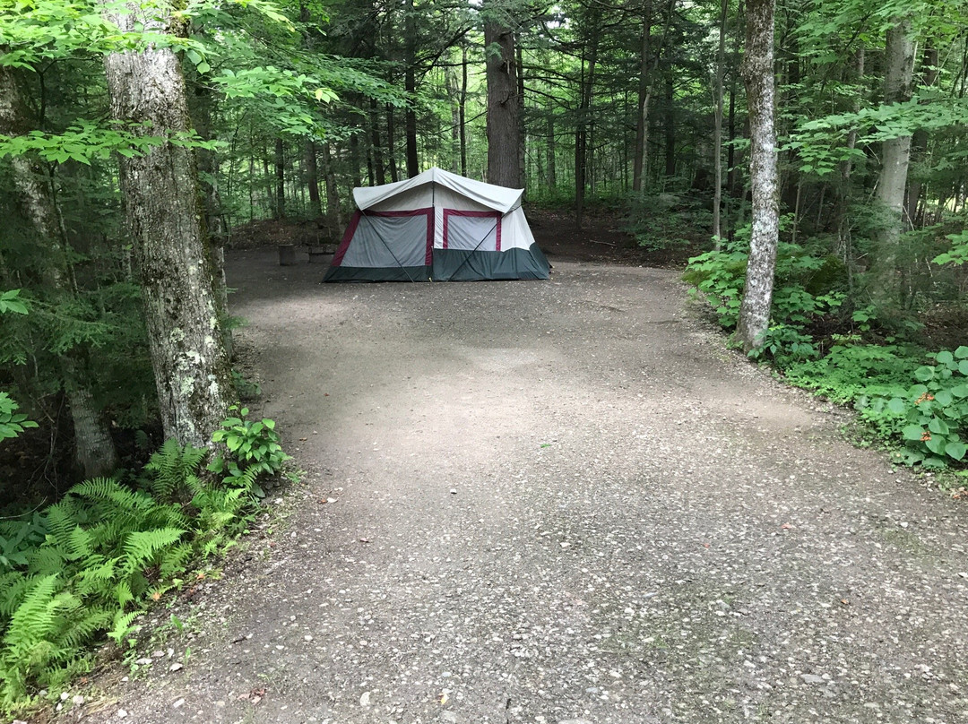 Gifford Woods State Park-基灵顿必去景点