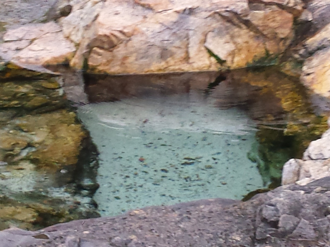 Colonial Springs Spa-伯克利斯普林斯必去景点