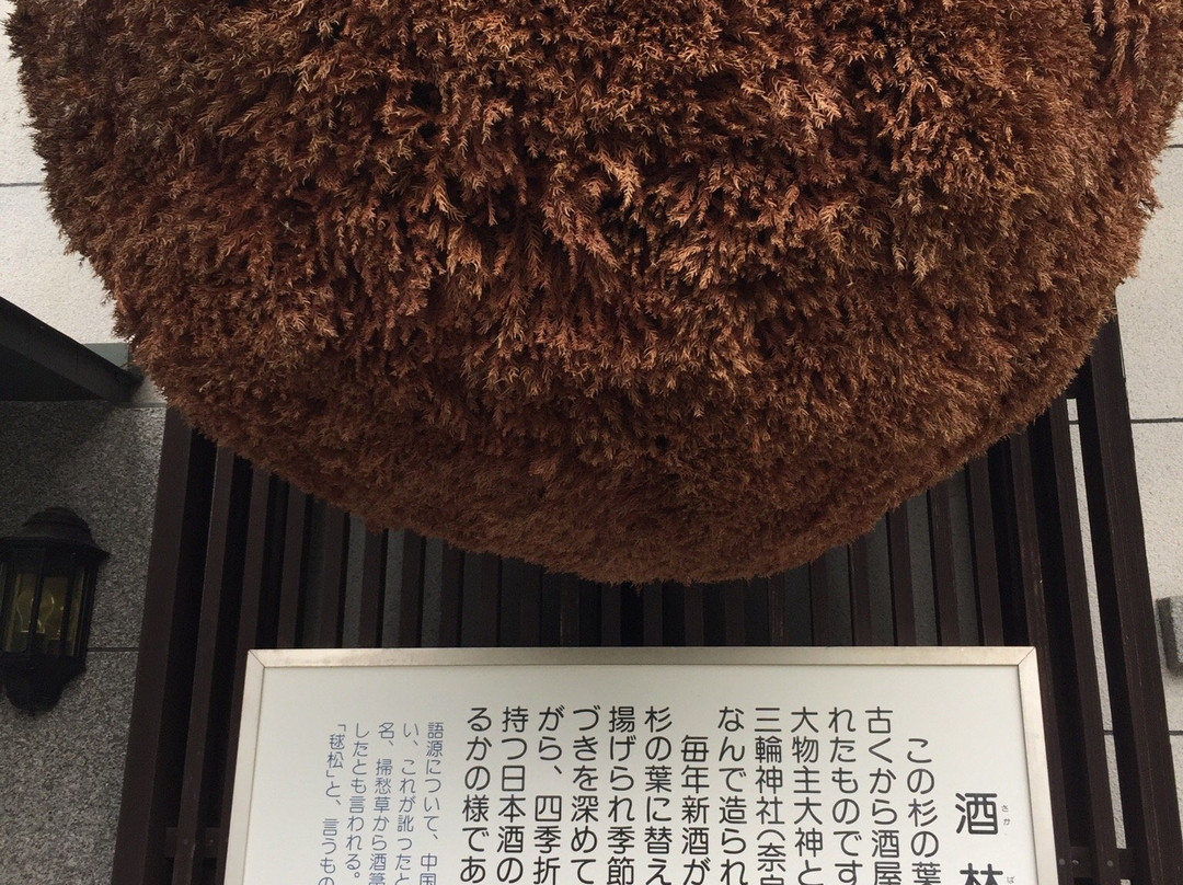 Tenzan Sake Brewery-小城市必去景点