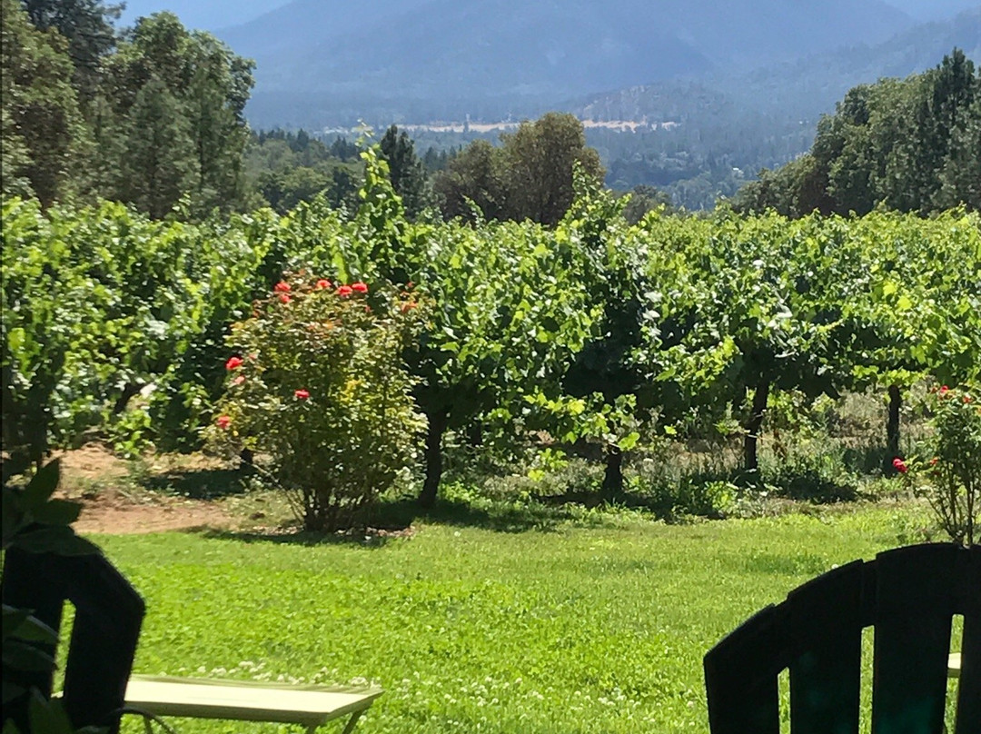 Wooldridge Creek Winery-格兰茨帕斯必去景点