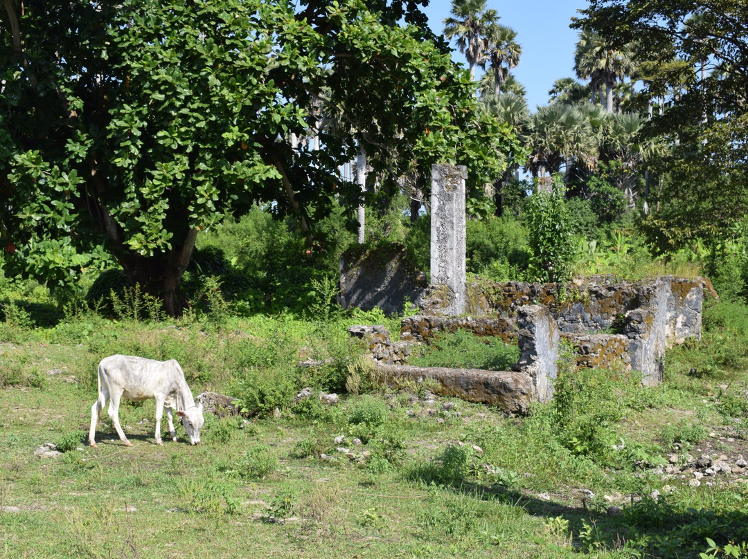 奔巴岛旅游景点-Ndagoni Ruins at Ras Mkumbuu