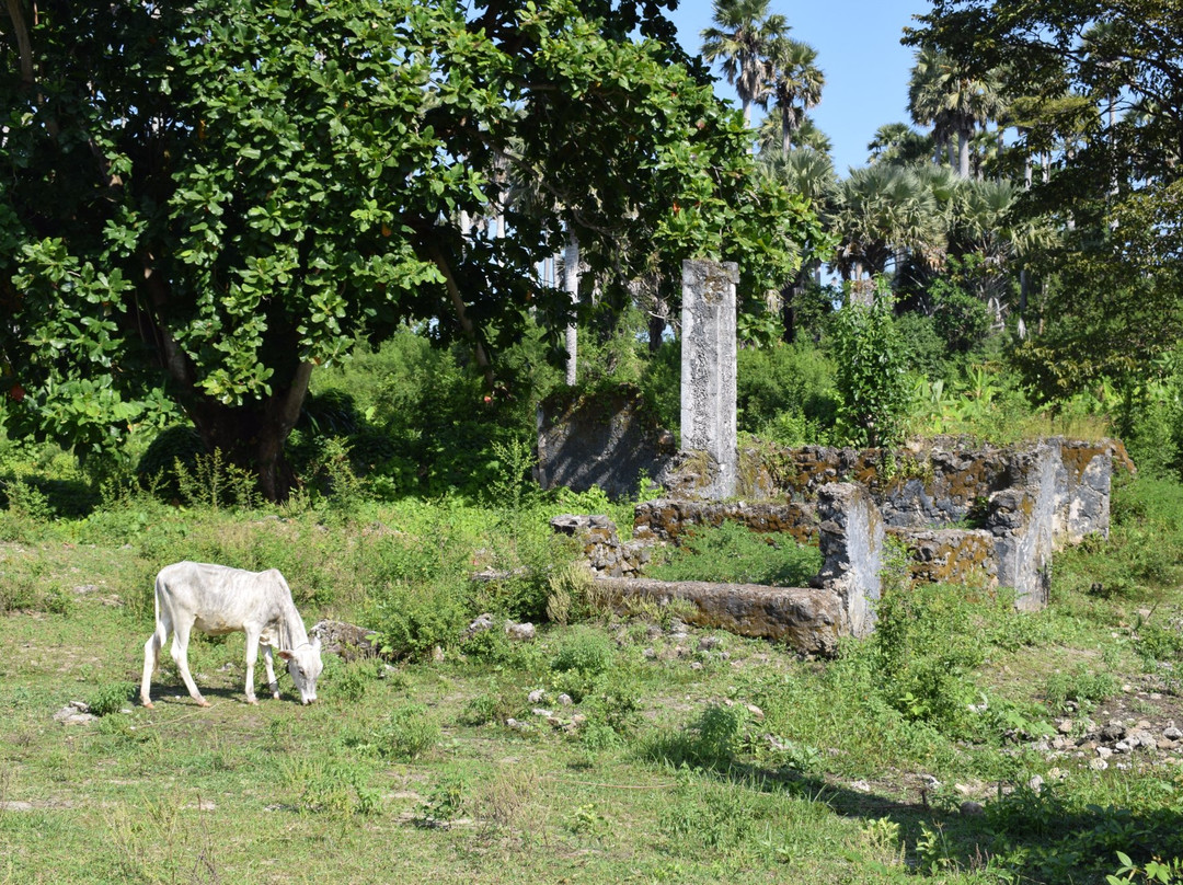 Ndagoni Ruins at Ras Mkumbuu景点图片