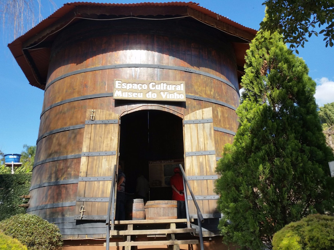 Espaco Cultural Museu do Vinho景点图片