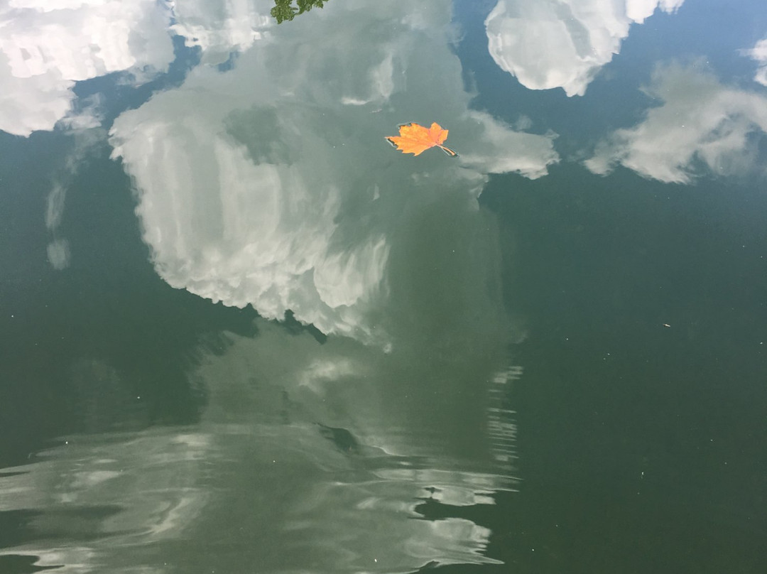 Riverview Outfitters-尤里卡斯普林斯必去景点