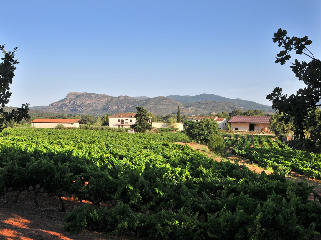 Domaine De Canta Rainette-La Motte必去景点