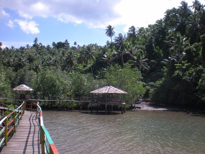 Ekowisata Mangrove Pintu Kota景点图片