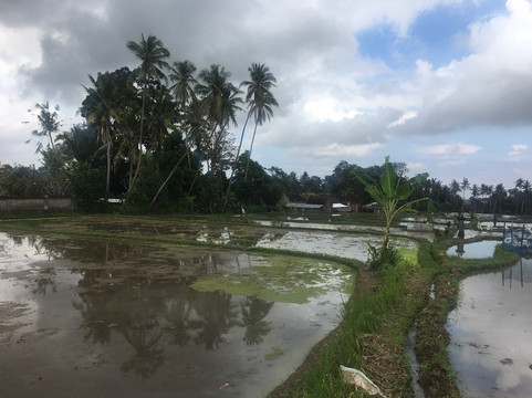 Bali Rocky Mountain Cycling Tour-乌布必去景点