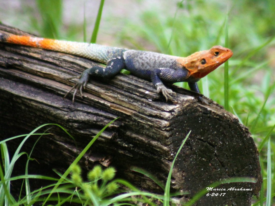 Sandsprit Park-斯图尔特必去景点