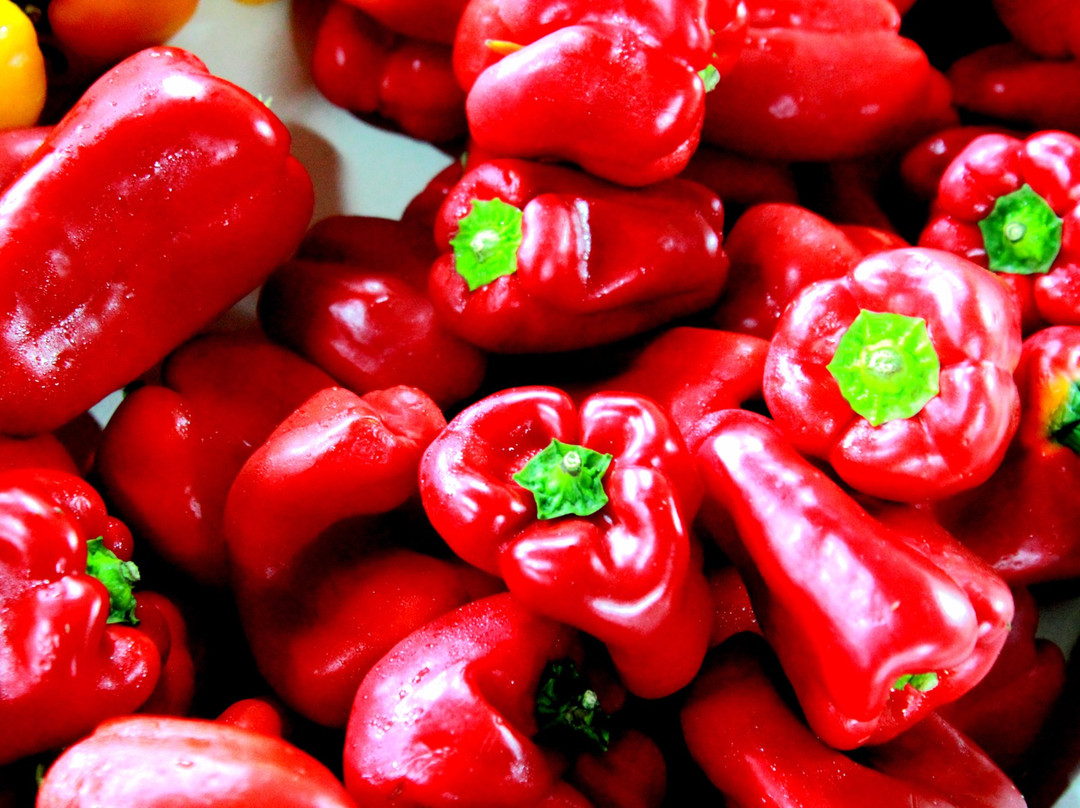 Froberg's Farm-Alvin必去景点