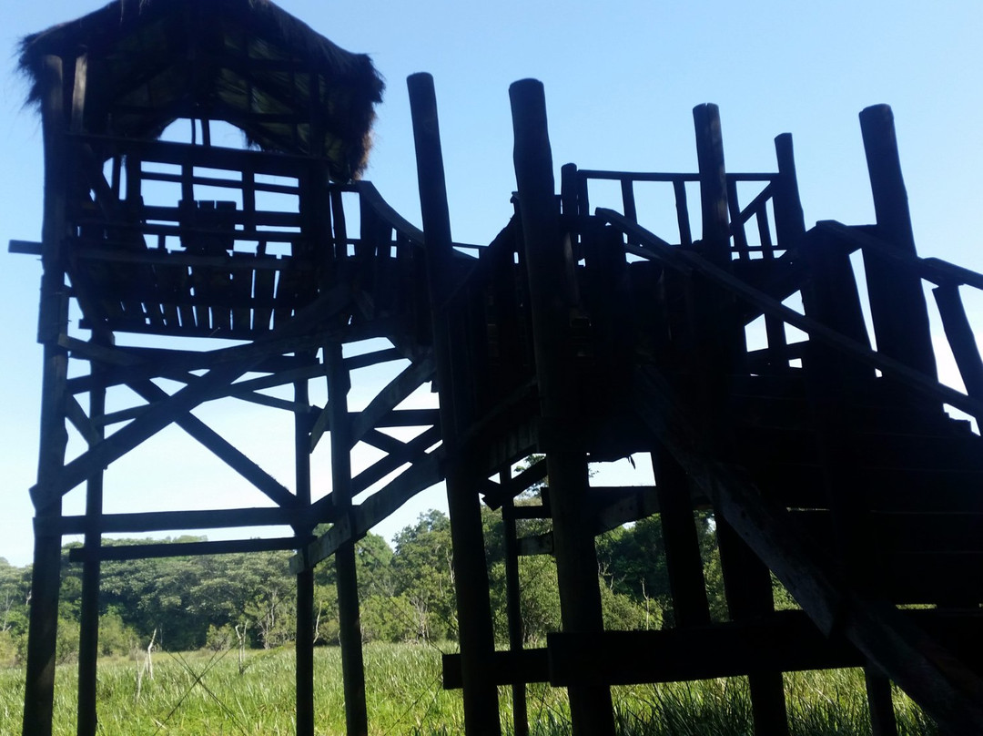 Saiwa Swamp National Park-Kitale必去景点