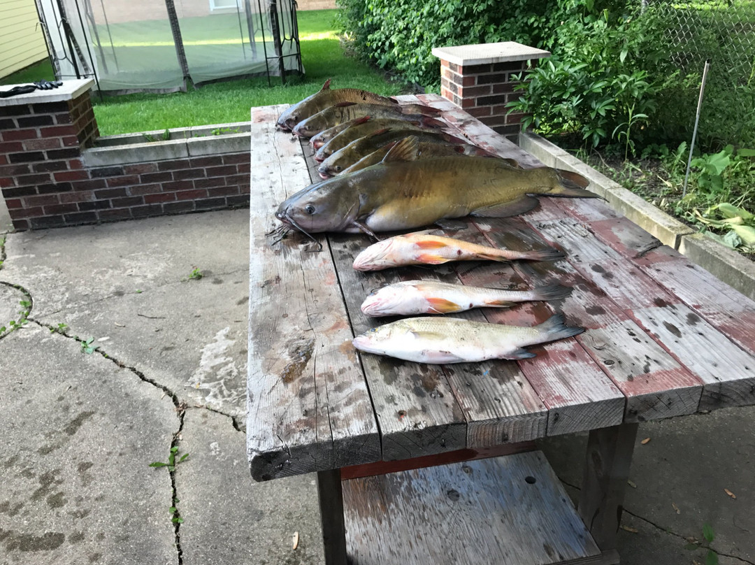 Jet Funn-Fox Lake必去景点