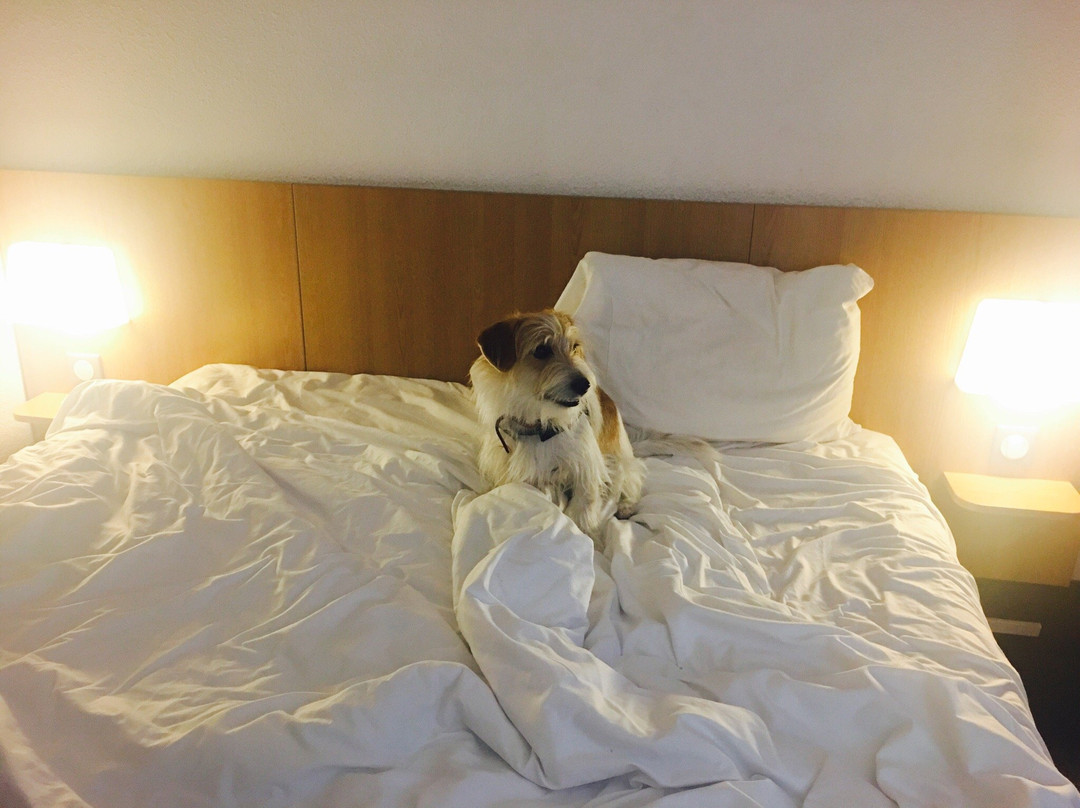 B&B HOTEL Calais Centre Saint-Pierre主图