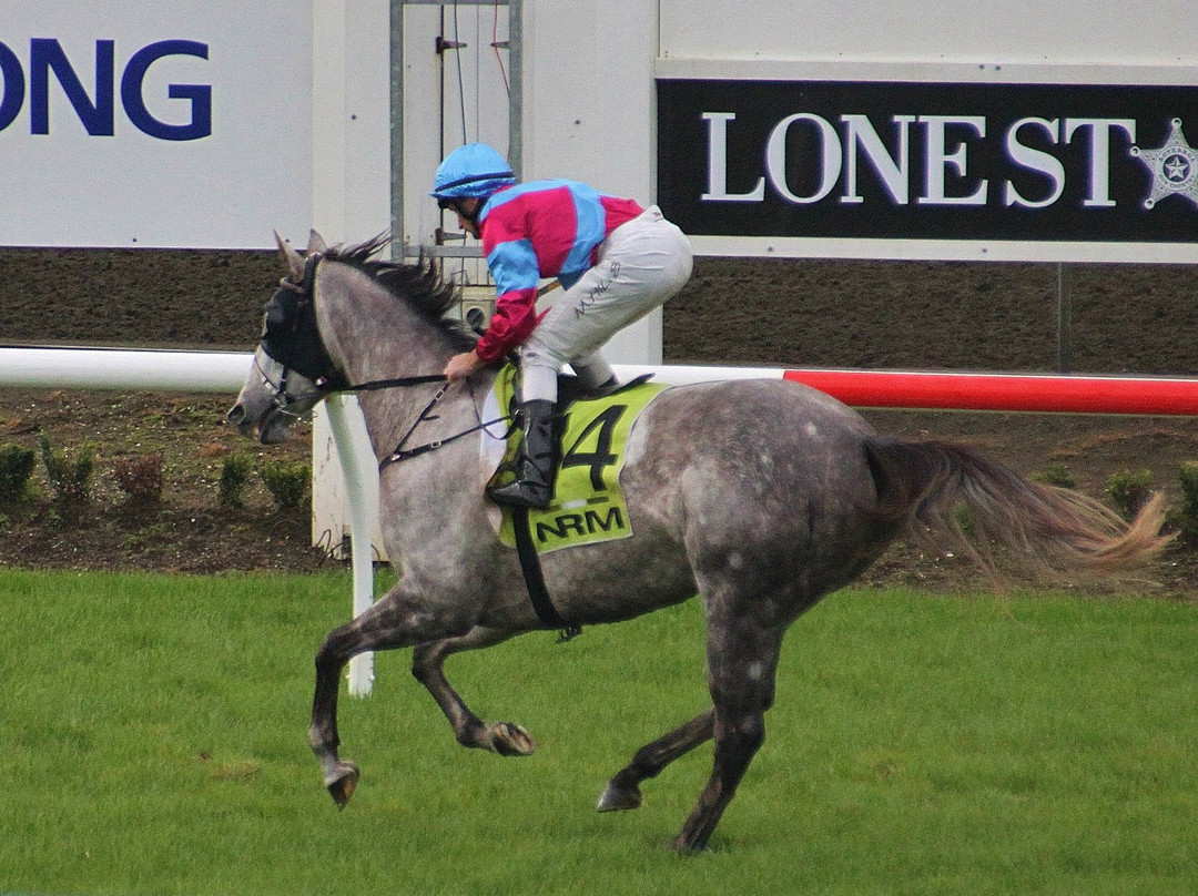 Pukekohe Park-普基寇希必去景点