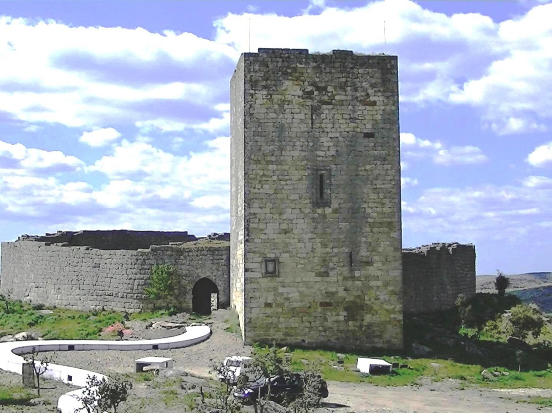 Castelo de Vilar Maior景点图片