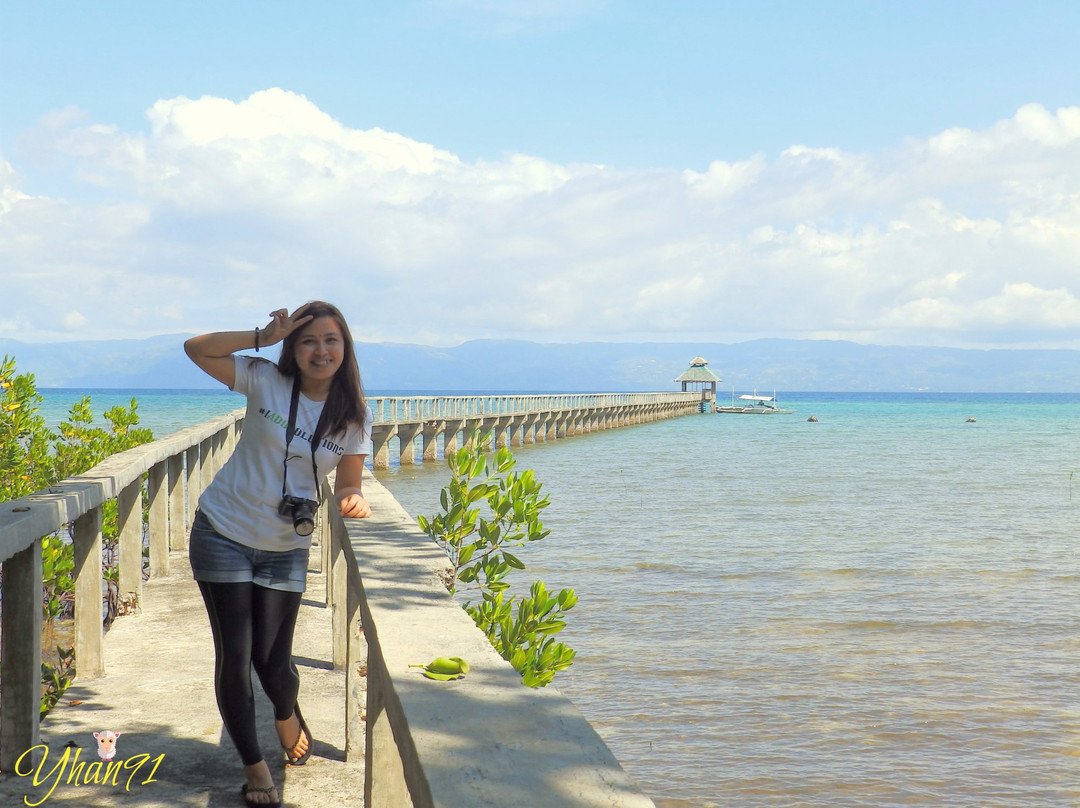 Talabong Mangrove Park景点图片