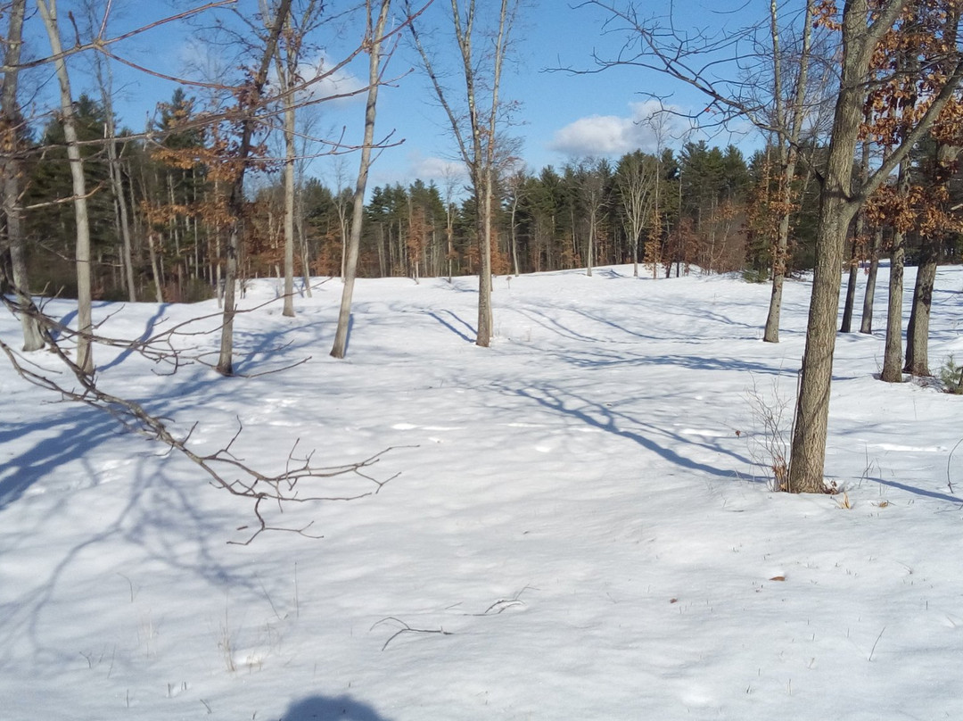 Wilton Wildlife Preserve and Park景点图片