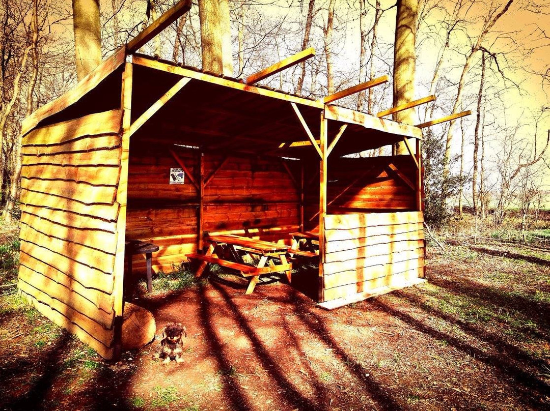 Terrain de Paintball d'Amiens Metropole景点图片