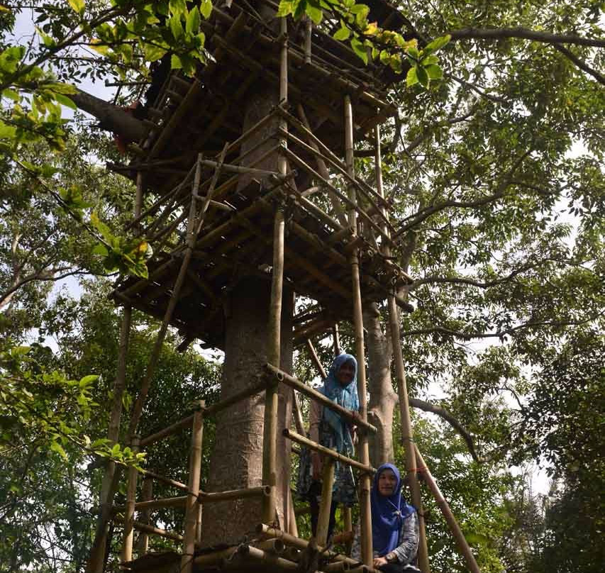 Gita Persada Butterfly Park-班达楠榜必去景点