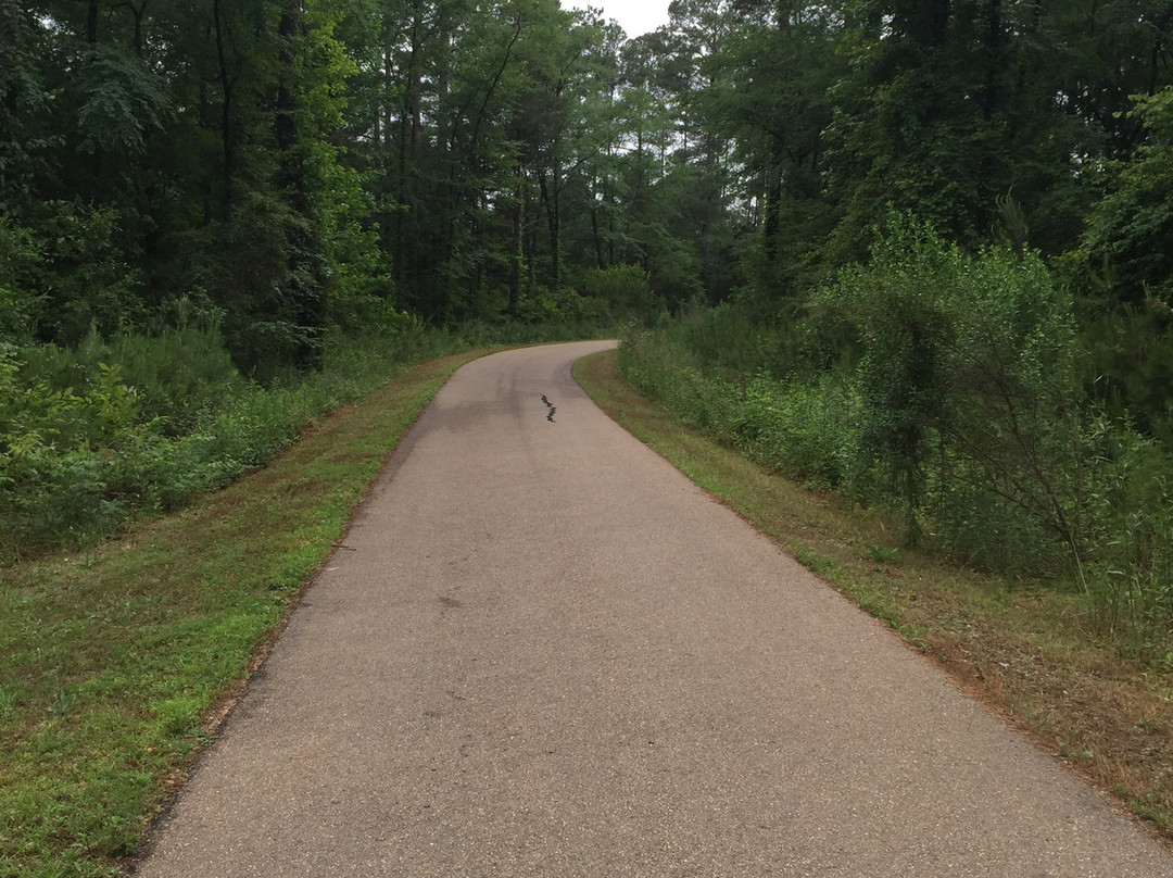 Ridgeland Bike Trail景点图片