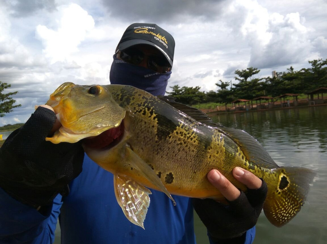 Clube Pescar-Luziania必去景点