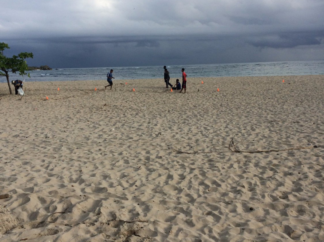 Long Beach-普拉塔港必去景点