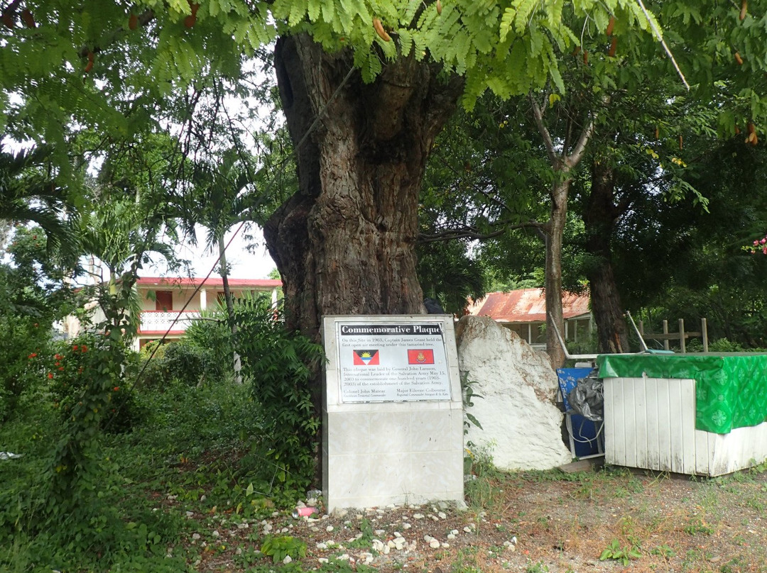 Parham-圣 约翰必去景点