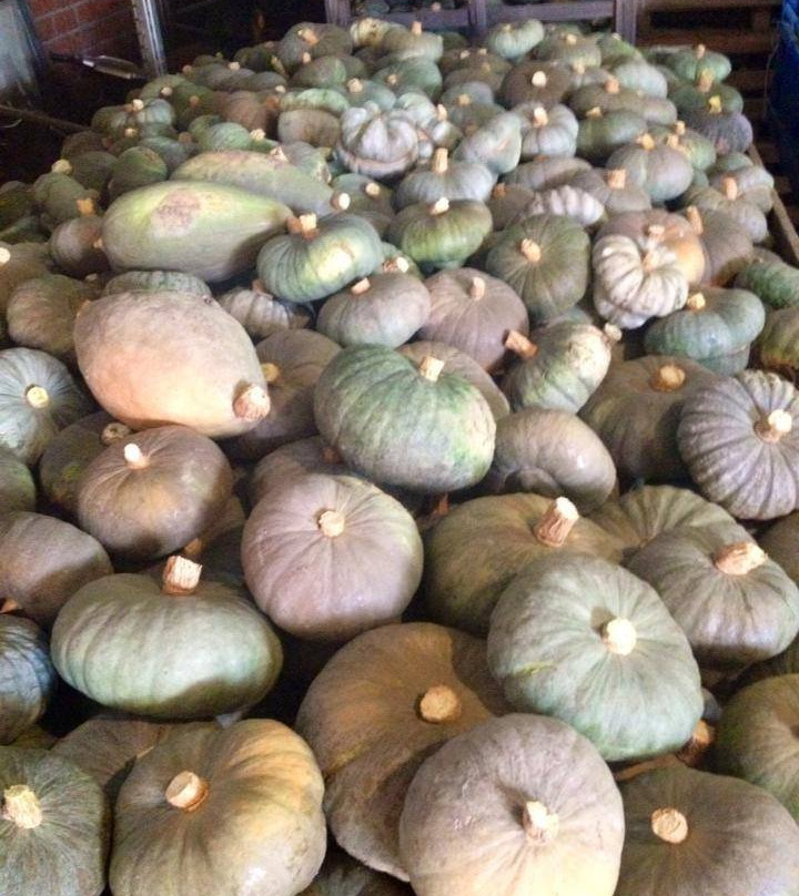 Azienda Agricola Malaguti景点图片