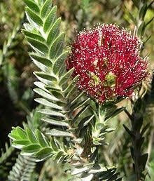 Peter Francis Points Arboretum-Coleraine必去景点