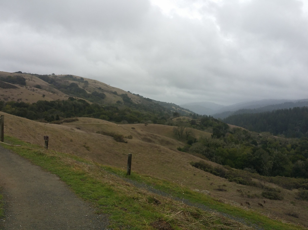 Monte Bello Open Space Preserve-帕罗奥多必去景点