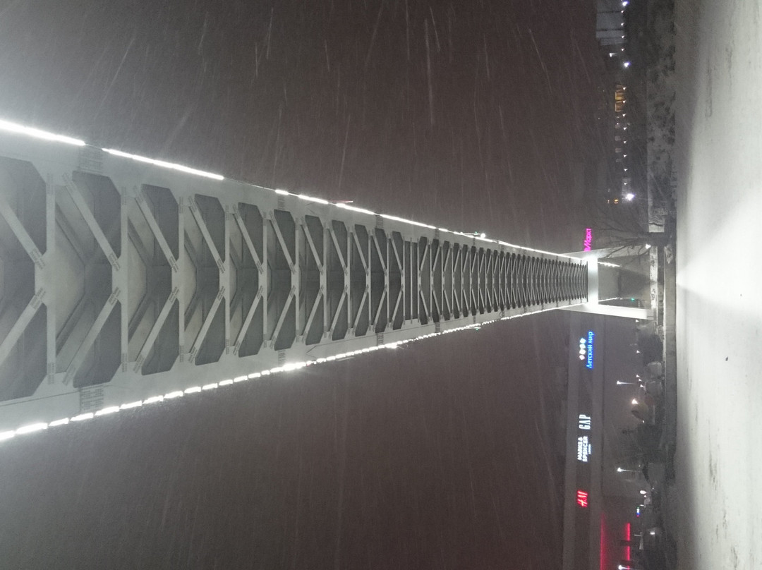 Pedestrian Bridge Pavshinskaya Poima景点图片