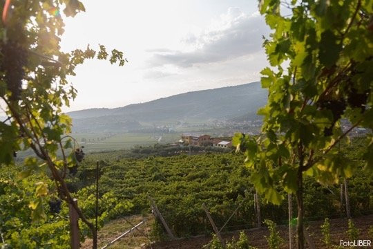 Azienda Agricola Dindo-Fumane必去景点