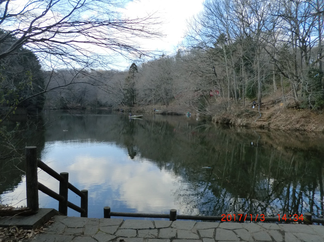 Lake Shinsei-秦野市必去景点