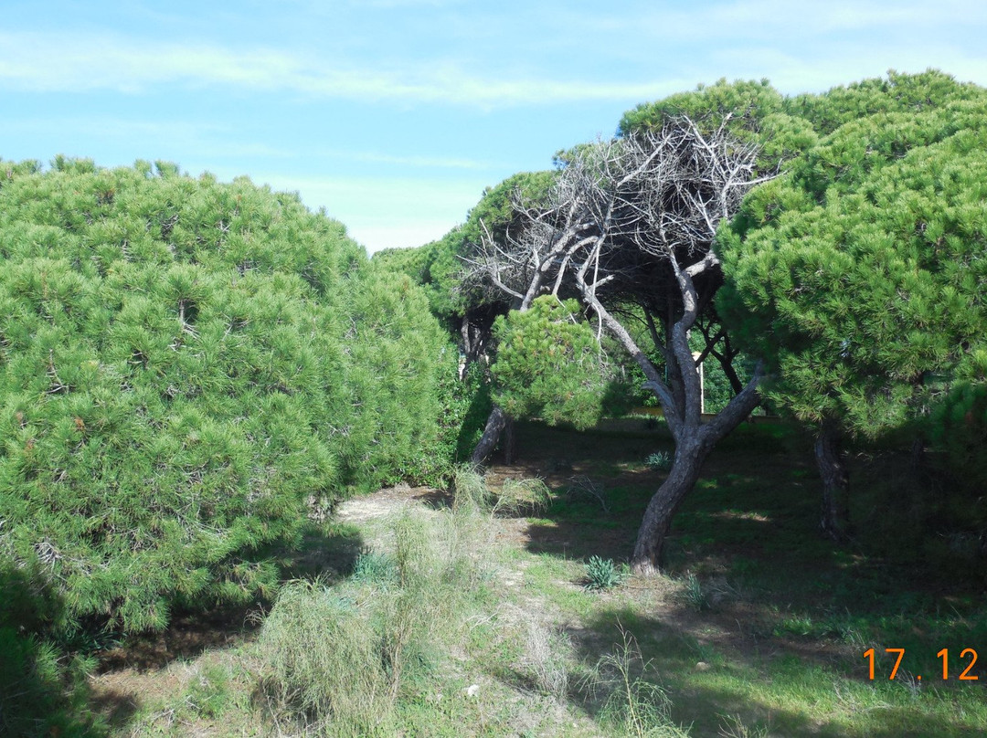 Pasarela del Litoral de Rota-罗塔必去景点