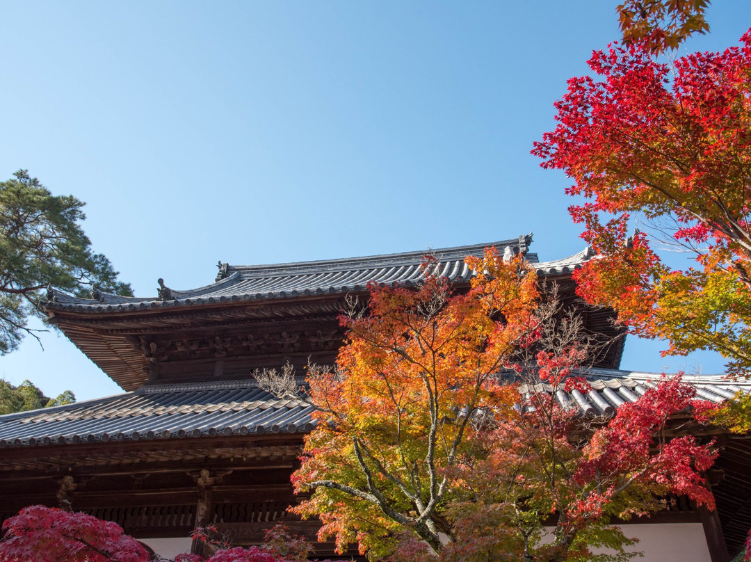 Iyama Hofukuji Temple景点图片