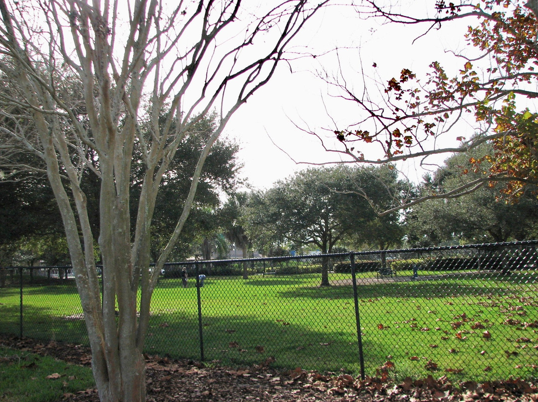 Doggie Days Dog Park-克利尔沃特必去景点