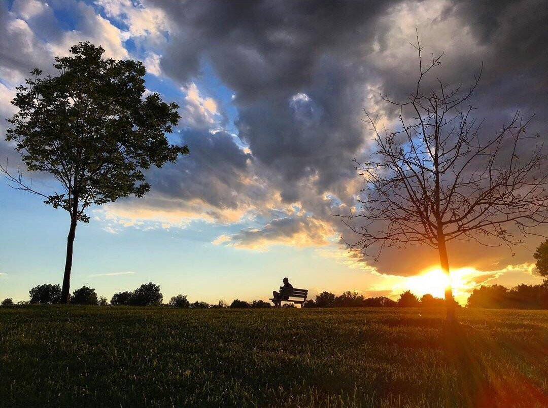 Bittersweet Park-格里利必去景点