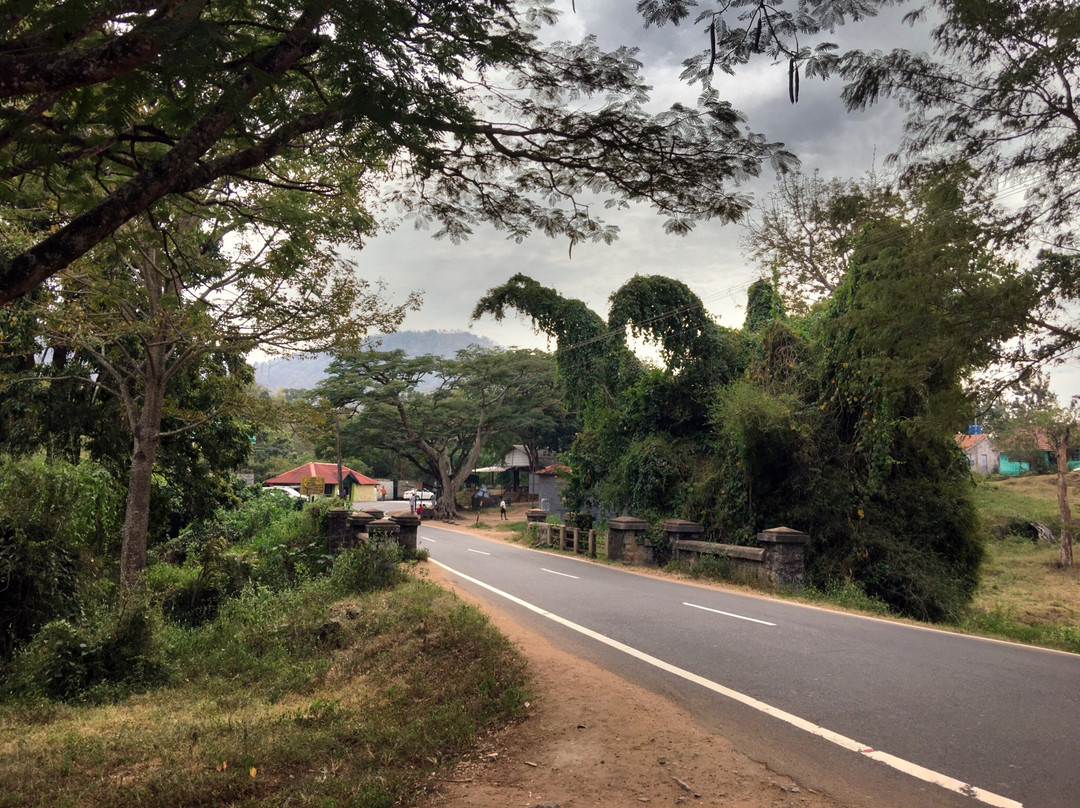 Moyar River-Mudumalai必去景点