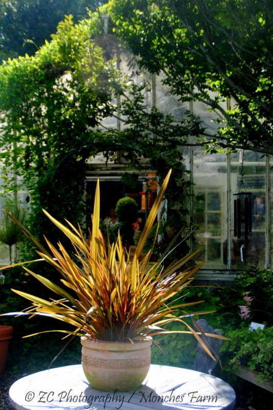 Monches Flower Farm-Colgate必去景点